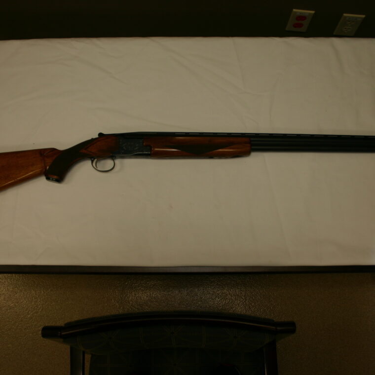 Winchester Model 101