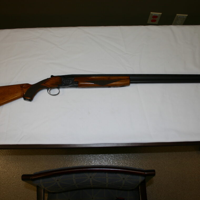 Winchester Model 101