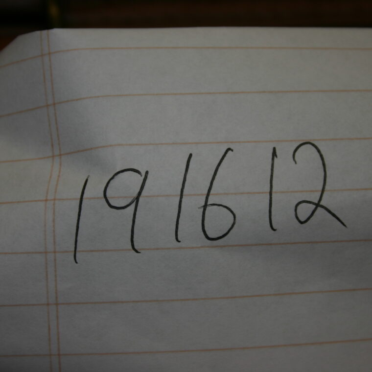 Winchester Model 101