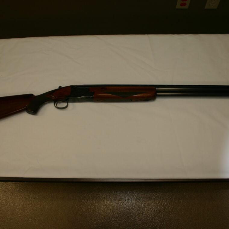 Winchester Model 101
