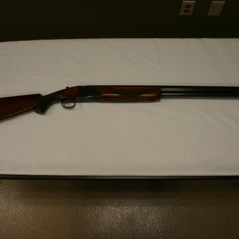 Winchester Model 101