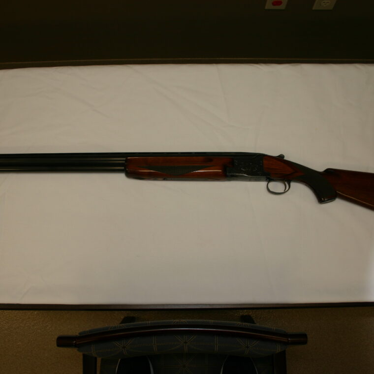 Winchester Model 101