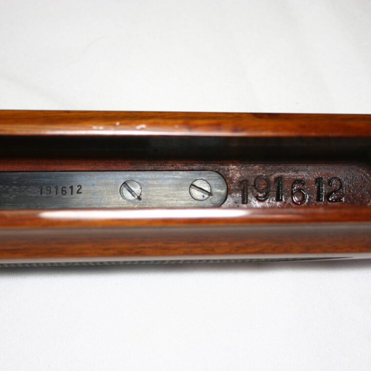 Winchester Model 101